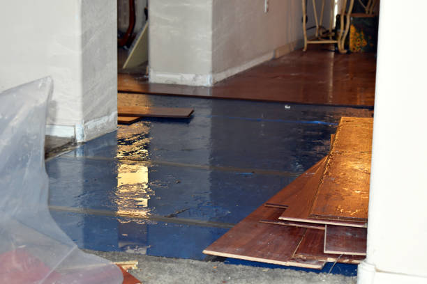 Professional Basement Flood Cleanup technician working in McKeesport, PA
